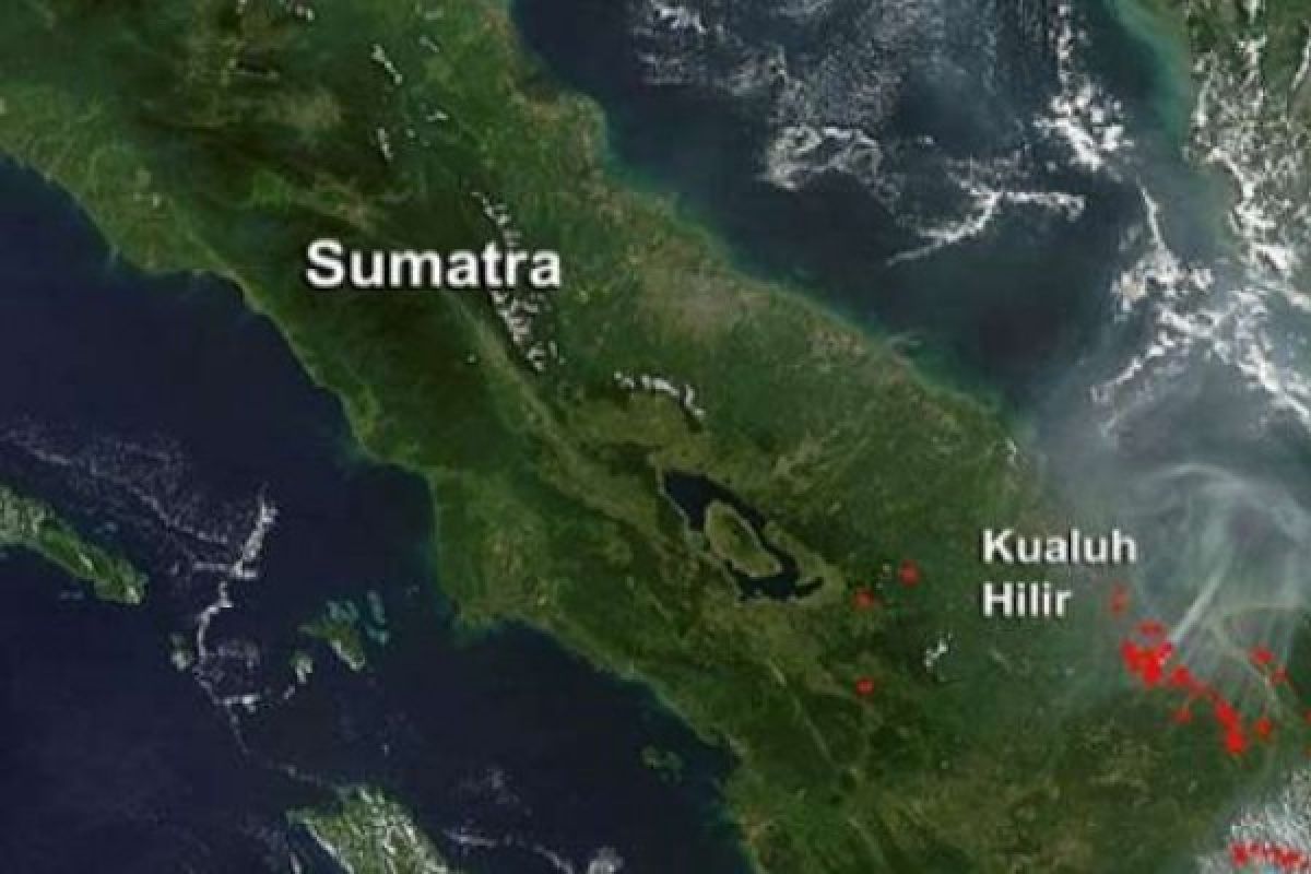 Kathutla di Riau dengan 45 Hotspots, Total 59 di Sumatera