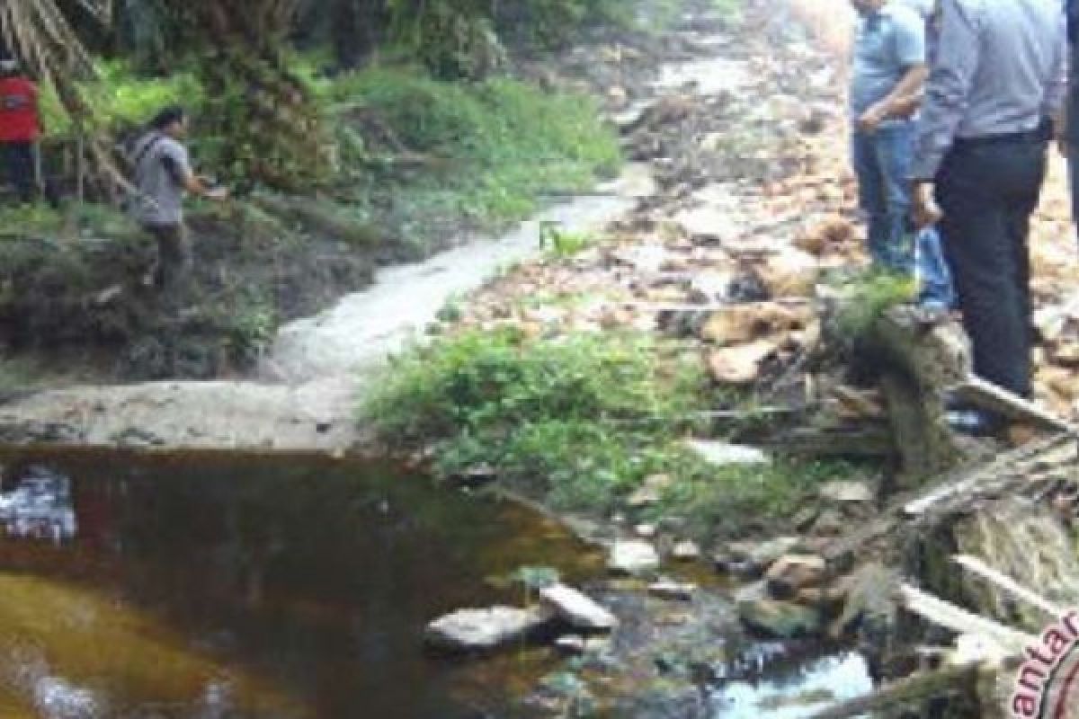 Limbah Perkebunan Sawit PT GSL Diduga Cemari Sungai Bedeng Sikuran