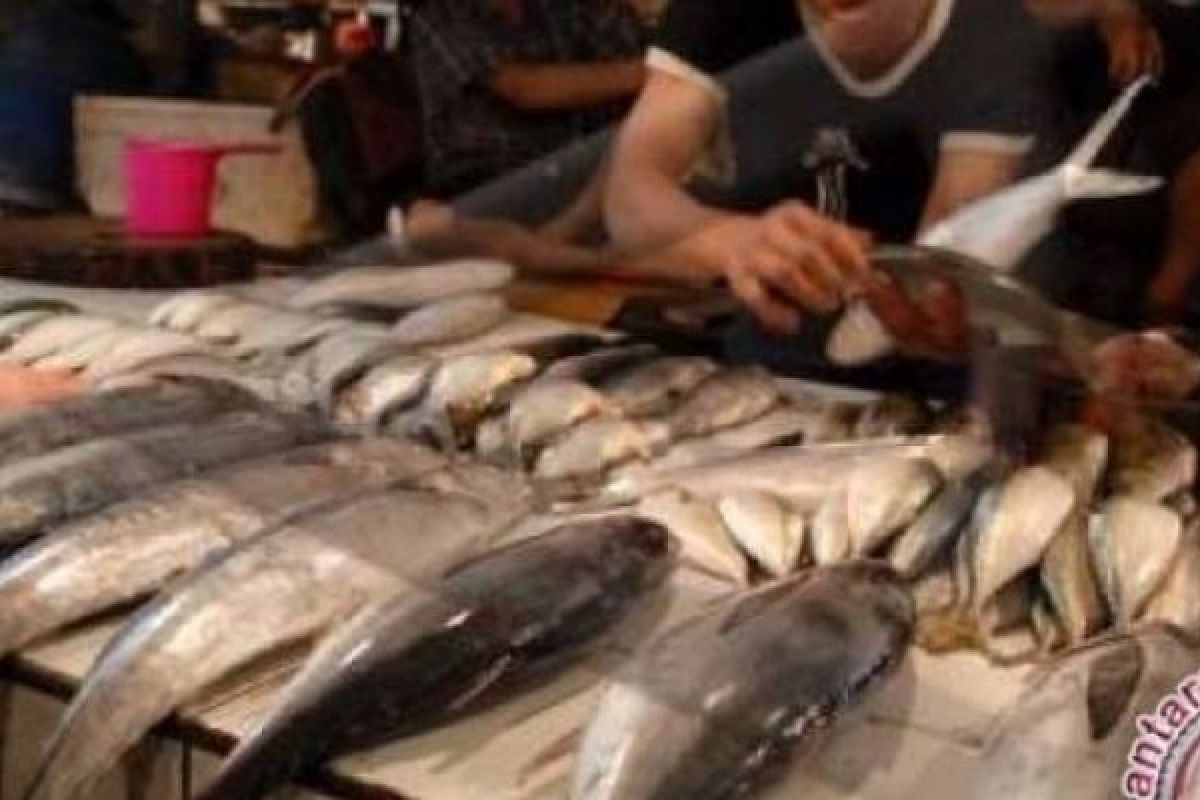 Harga Ikan di Pekanbaru Mulai Naik, Ibu-Ibu Rumah Tangga Mengeluh