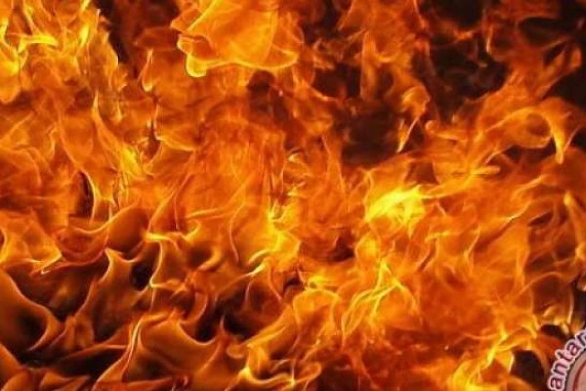 Kebakaran Perumahan PT TBS Kuansing, Anak 11 Tahun Tewas Terpanggang