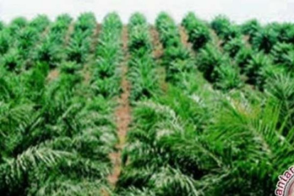 DPRD Riau Minta 77,898 Hektare Lahan Perusahaan Dijadikan Kawasan Hutan