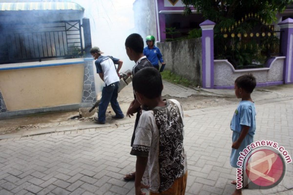 Tiga Warga Jember Meninggal Dunia Akibat DBD