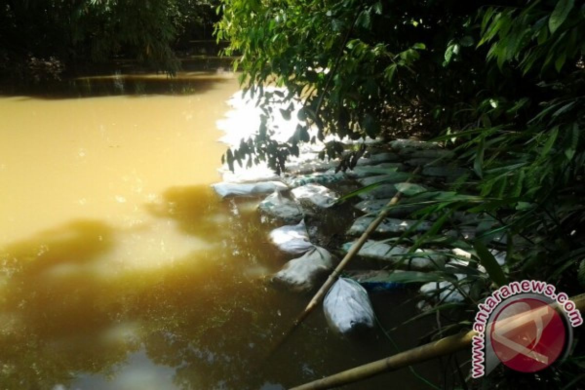 Tabalong River polluted by Fe and Mn from domestic and agricultural waste