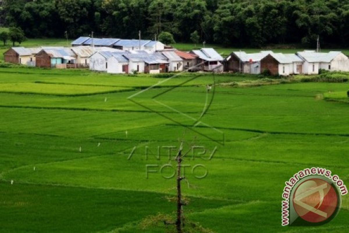 Pemprov Sulbar akan cetak sawah 10.000 hektare