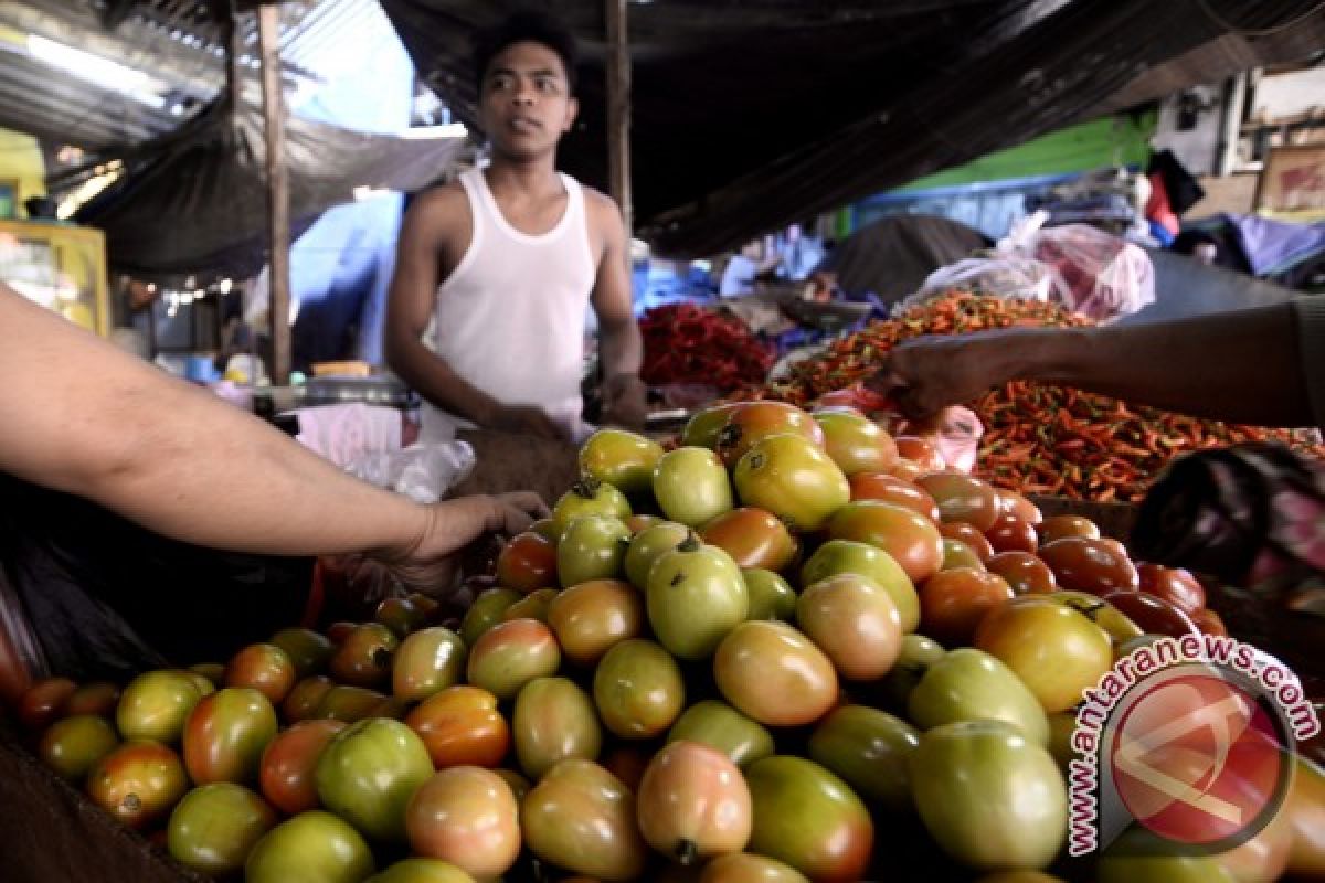 Harga tomat di Manado naik 10 persen