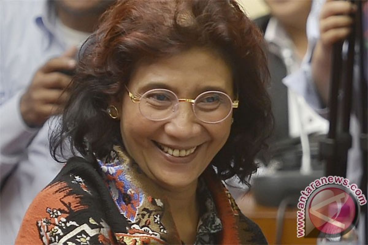 Susi Pudjiastuti minta nelayan berhenti tangkap bibit lobster