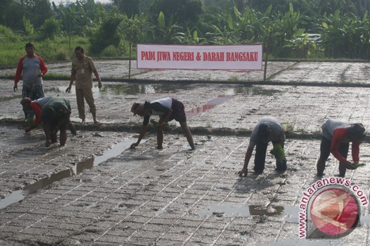 Denpasar Menuju Organik Terganjal Alih Fungsi Lahan