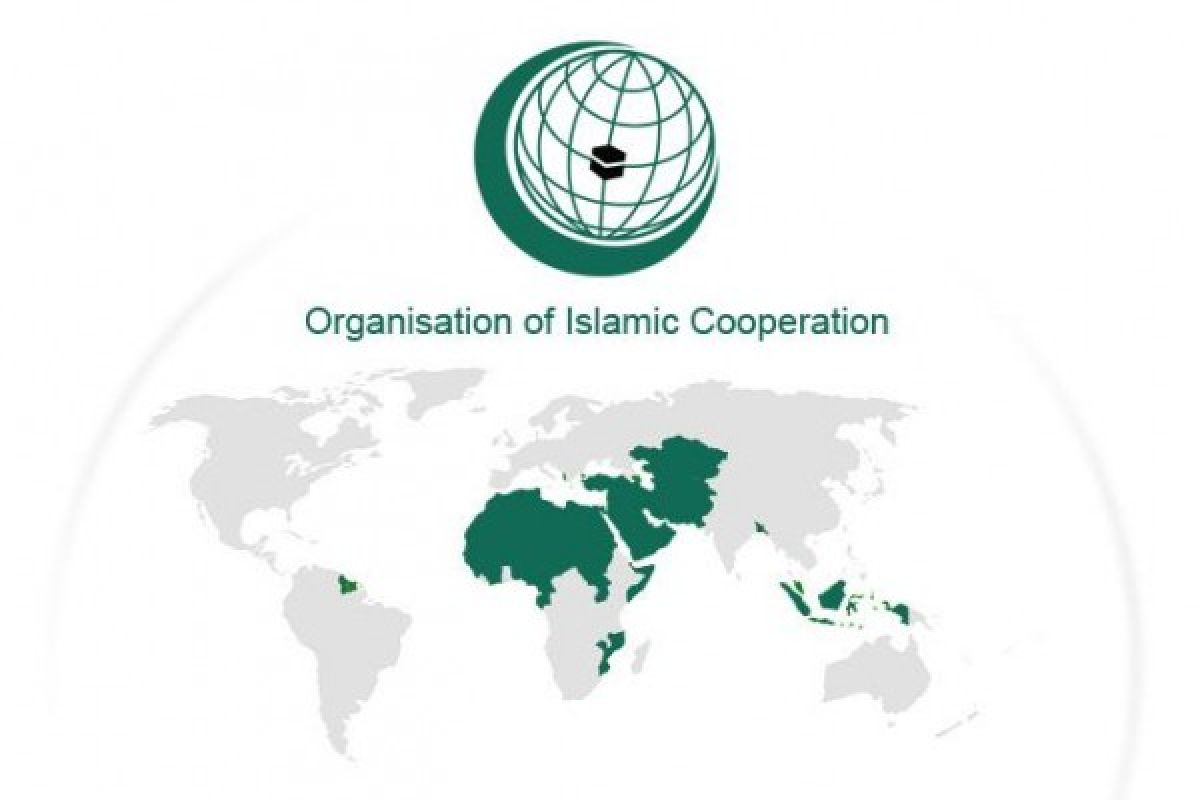 OIC lauds Indonesia`s initiative for peace in Middle East