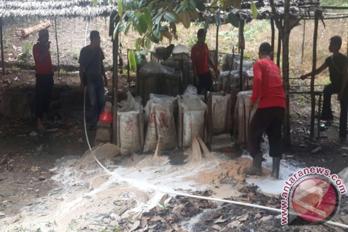 Tim Gasus Polres Sanggau Grebek Pembuatan Arak Kembayan