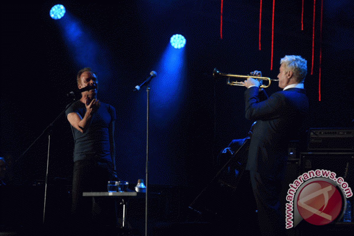 Sting dan Chris Botti tutup Java Jazz 2016