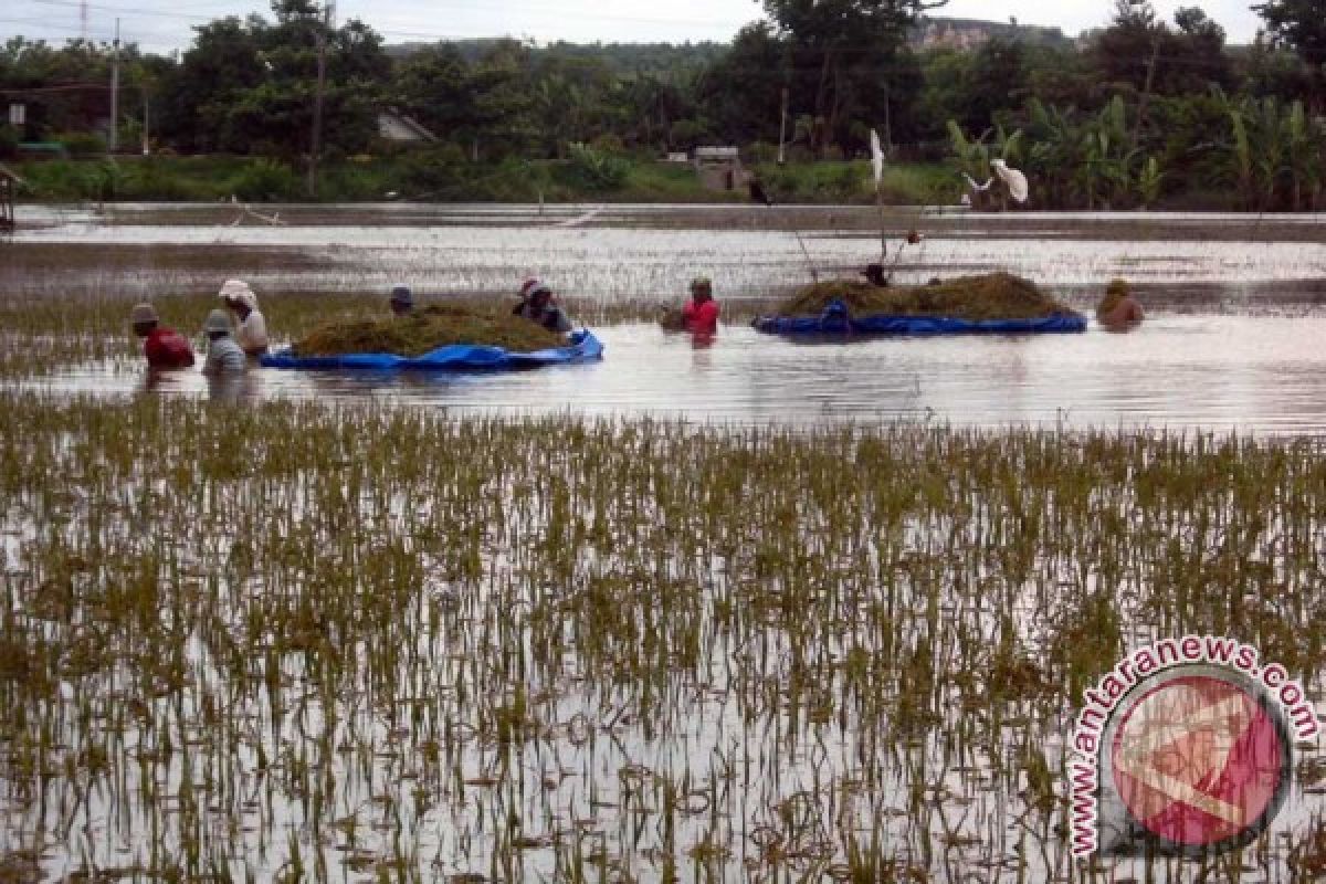 Bojonegoro Berencana Bangun Pintu Pengendali Banjir