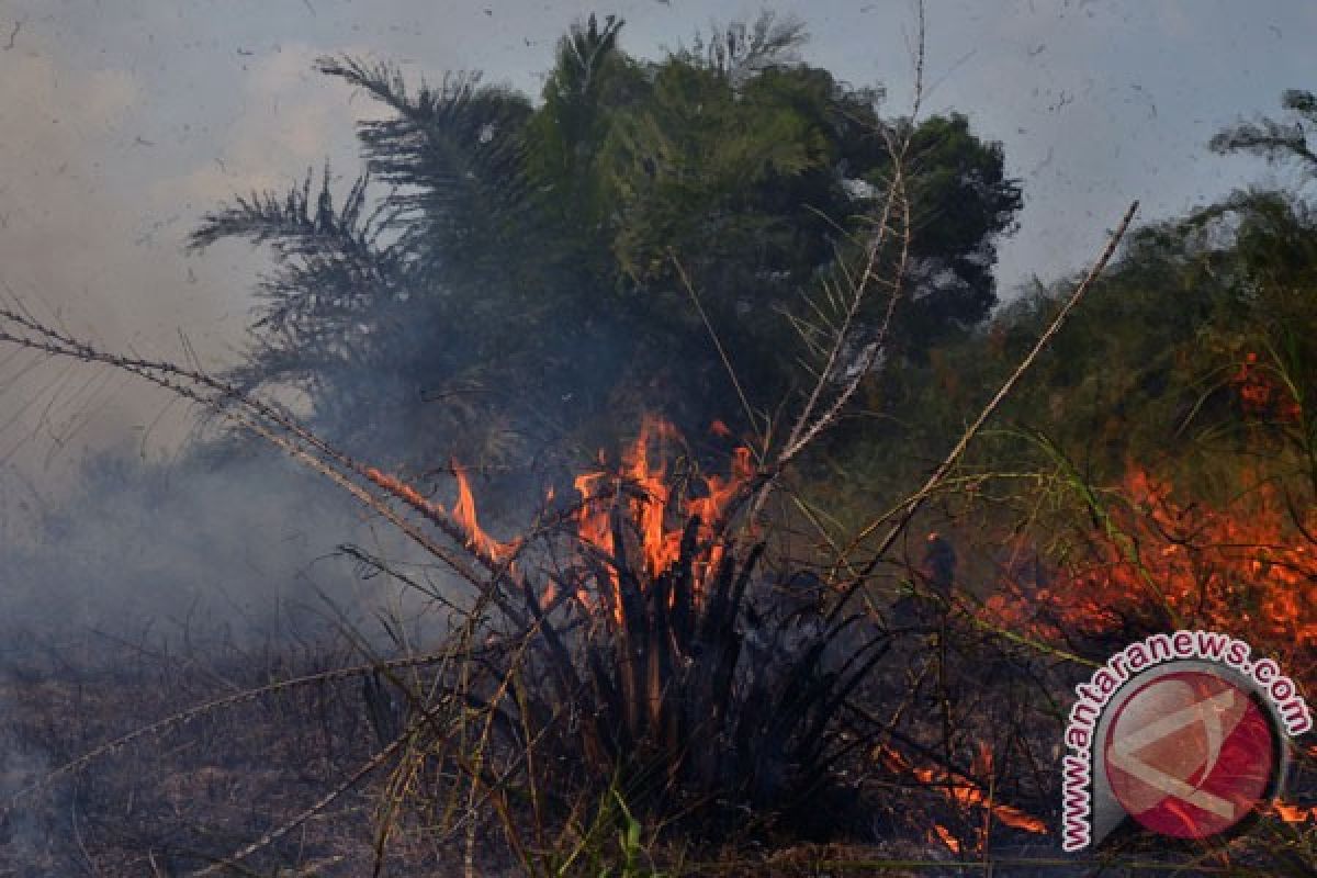 Titik panas kembali bermunculan di Riau