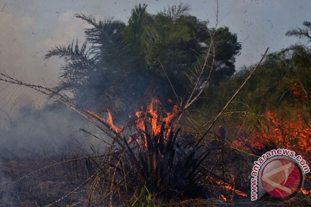 BMKG deteksi satu titik api di Rokan Hilir