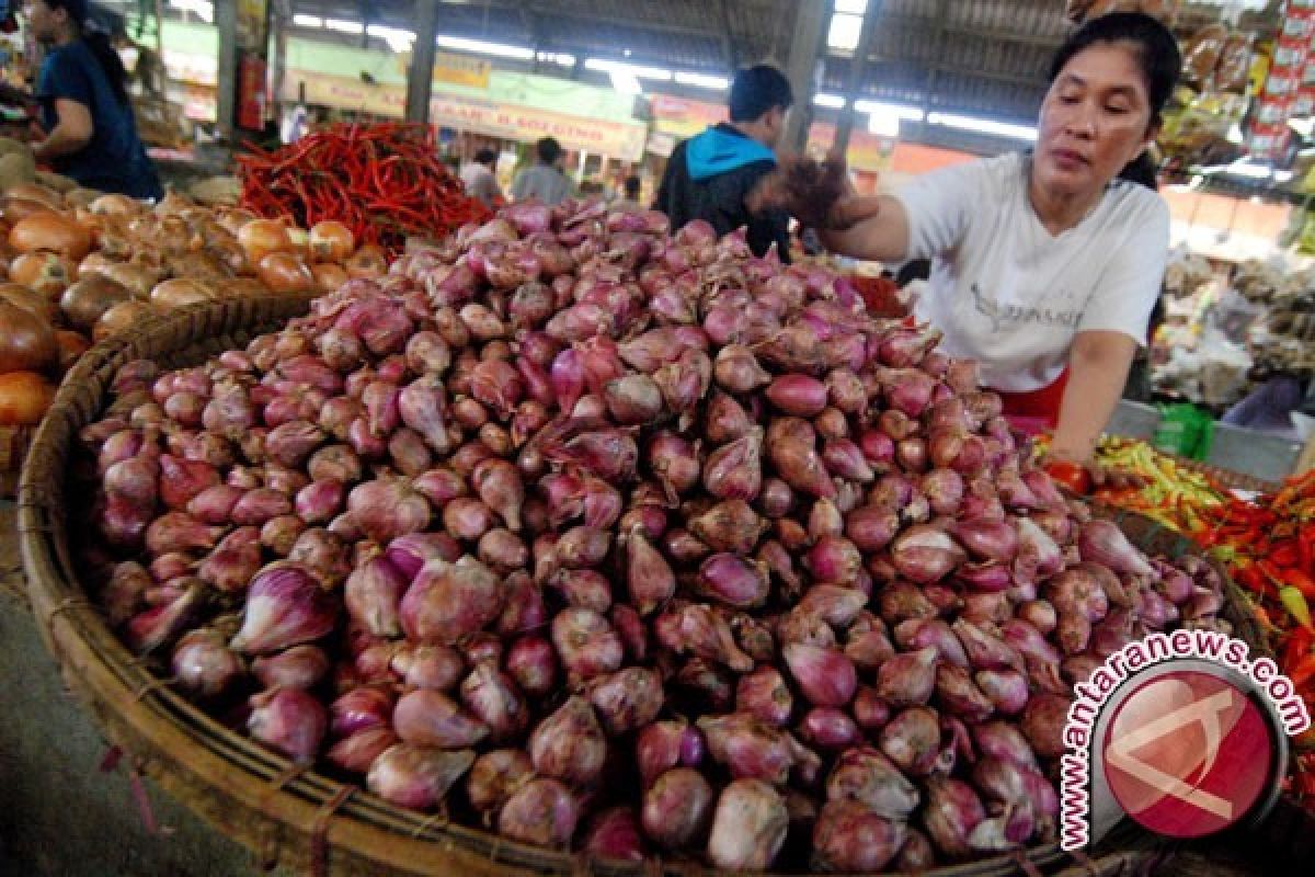 Harga bawang merah di Pangkalpinang naik