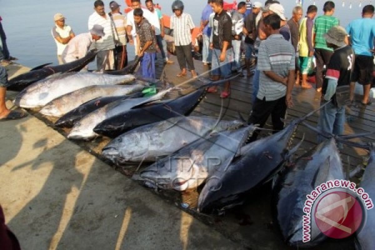 Potensi perikanan Simeulue capai 74 ribu ton per tahun