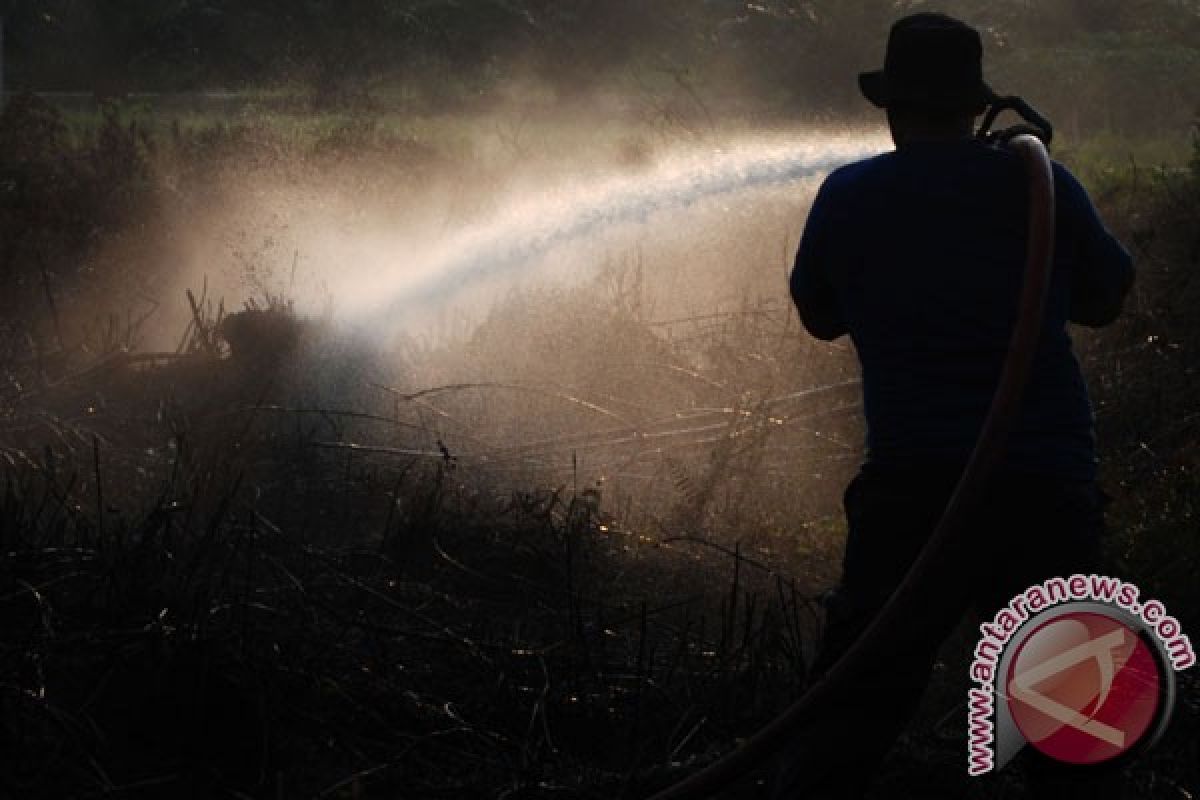 12 hektare lahan gambut di Meranti terbakar