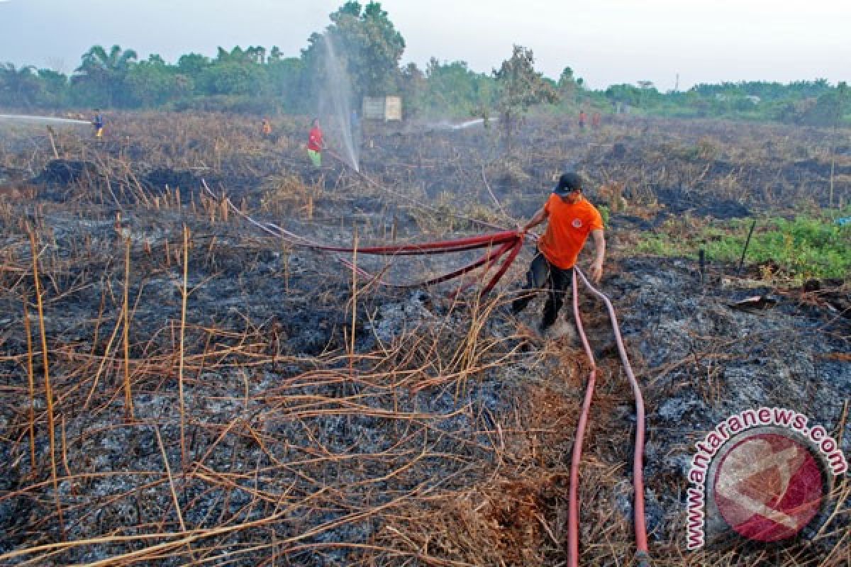 314,5 hektare lahan Dumai terbakar