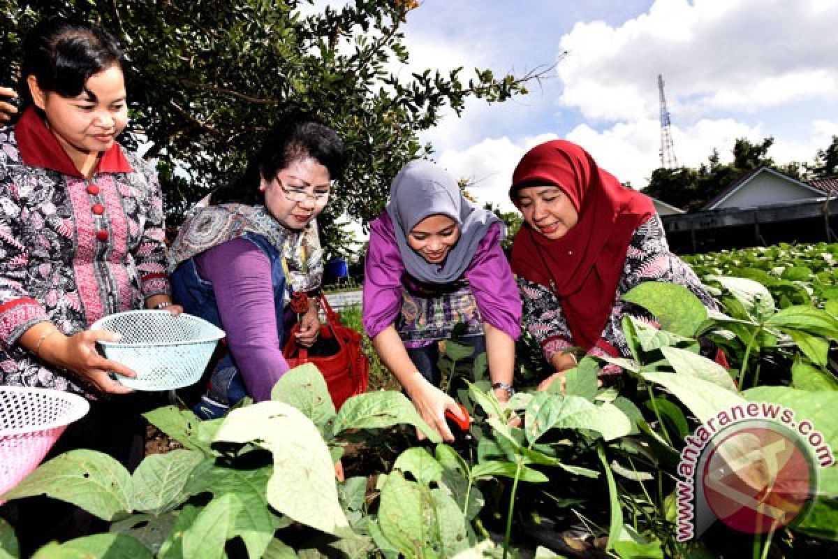 Buncis dan kacang polong lebih mengenyangkan daripada daging