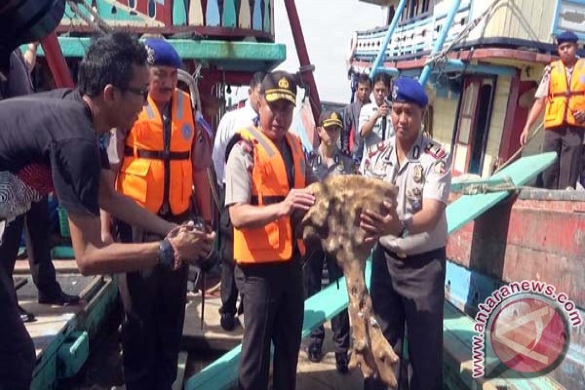 Polda Kalsel Tangkap Tiga Kapal  Cantrang 