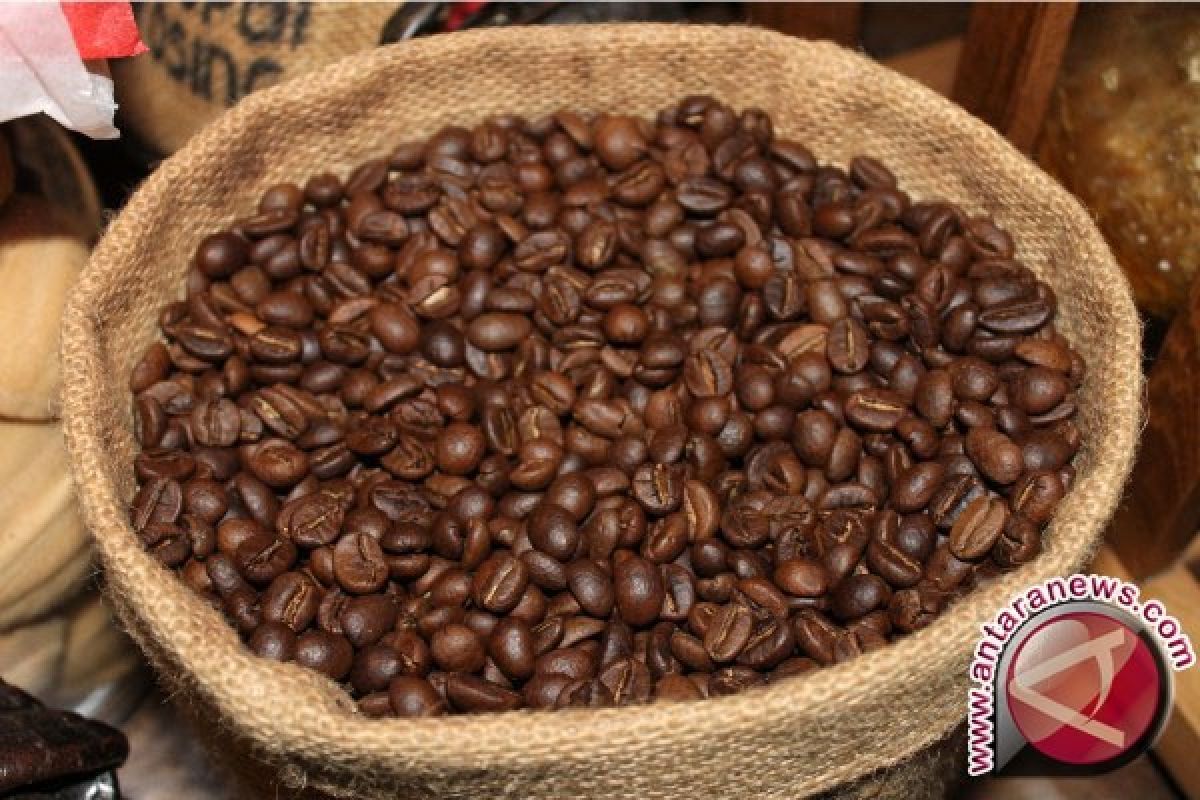 Produksi kopi bantu kurangi kemiskinan di Panama