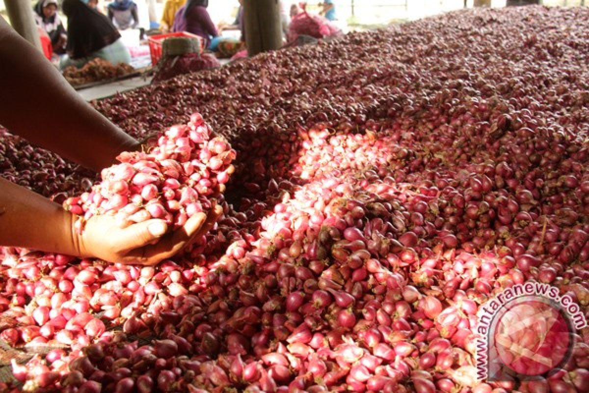 Harga bawang merah naik di Lhokseumawe  