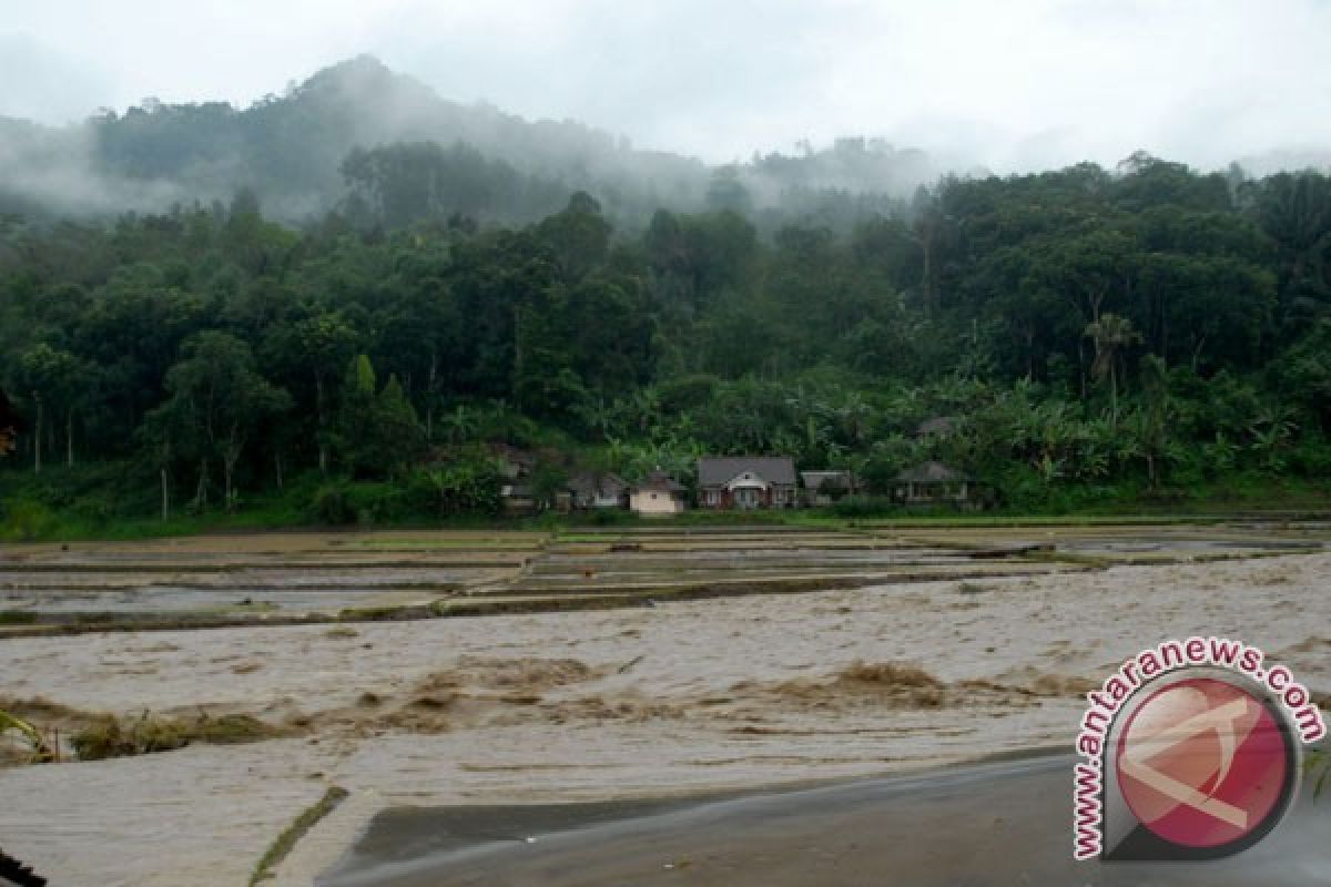 Hujan lebat, ribuan hektare tanaman melon terendam banjir