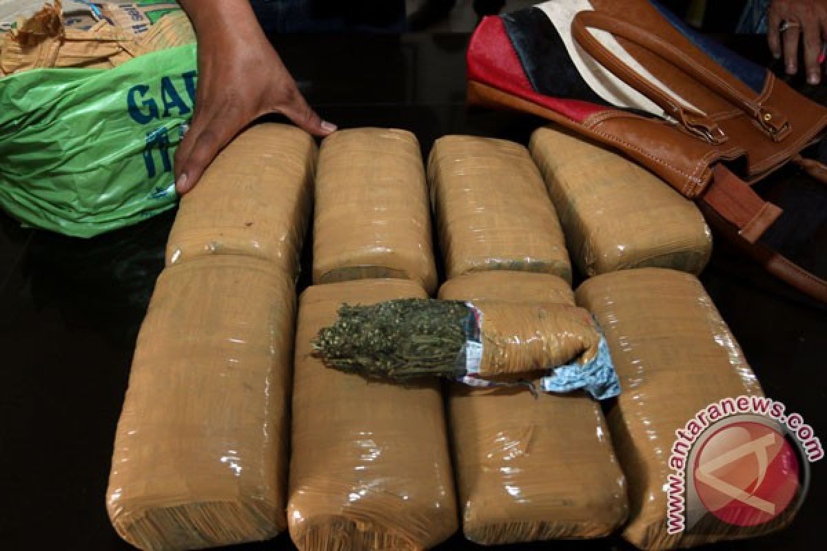 Langkat police arrest two men for carrying 20 kg hashish