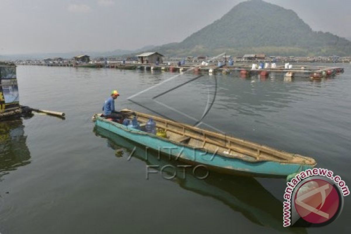 PJT II: Kualitas air waduk Jatiluhur menurun