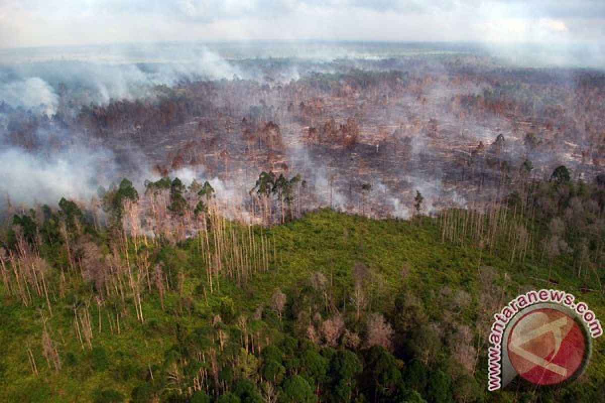 Kebakaran lahan gambut Meranti ancam pemukiman warga