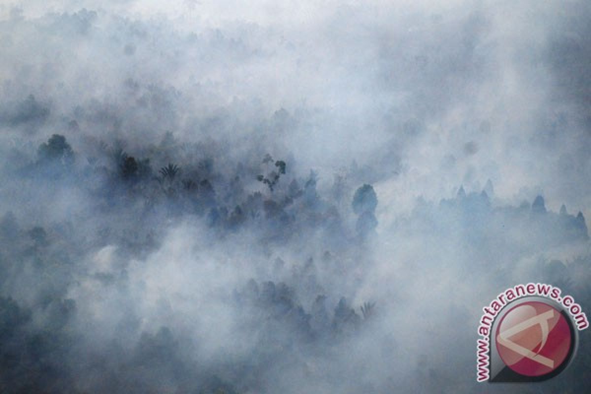 Asap kebakaran hutan-lahan sudah capai Selat Malaka