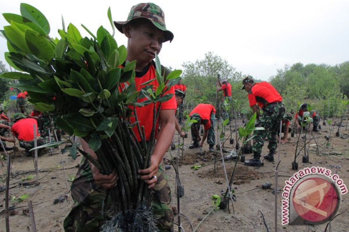 5.000 bibit mangrove ditanam di Kebun Raya Mangrove Gunung Anyar Surabaya