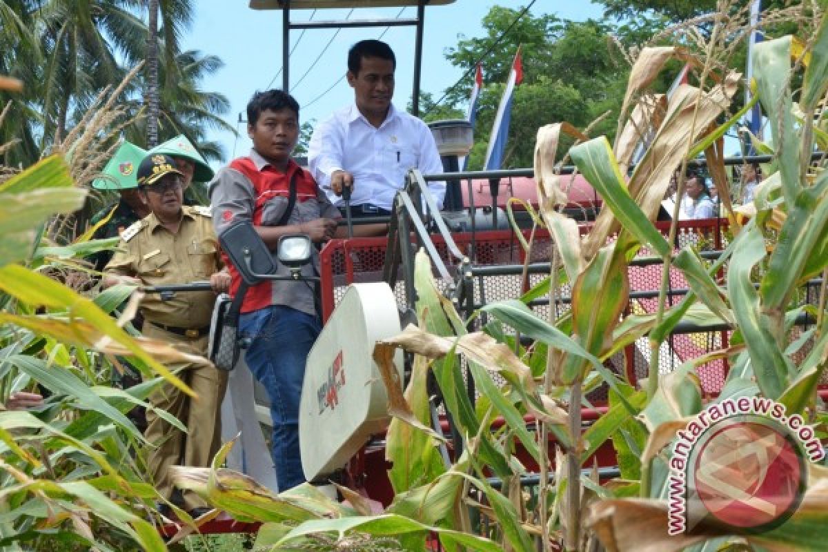 Mentan : Ekspor Jagung Naik 1.800 Persen 