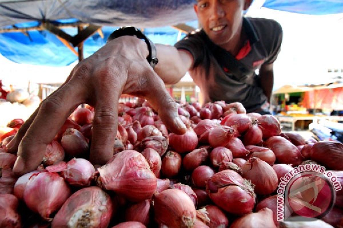 Balitbangtan rekomendasikan sentra produksi bawang dan cabai