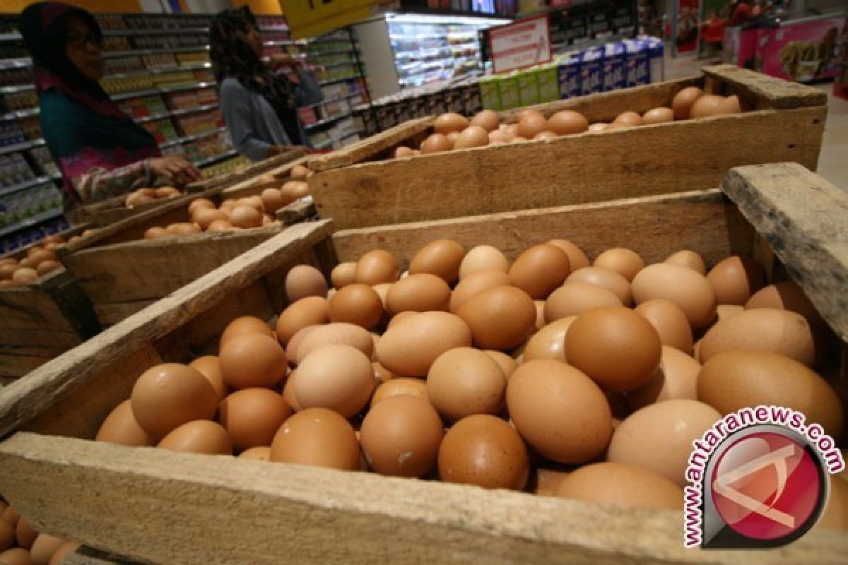 Stok Telur Ayam di Pangkalpinang 47,5 Ton