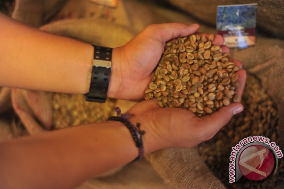 Kopi Bukit Apik kopi robusta asli Bukittinggi