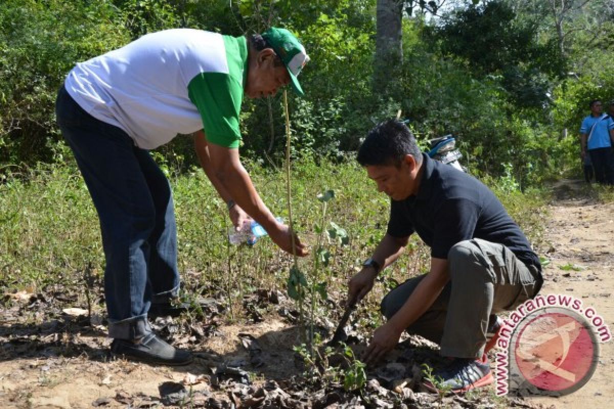 PDAM Tanam Bibit Pohon Di Sumber Air 