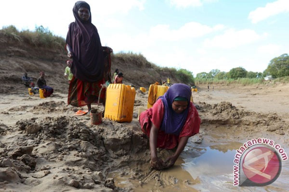 Setiap hari 3.000 warga Somalia mengungsi akibat paceklik