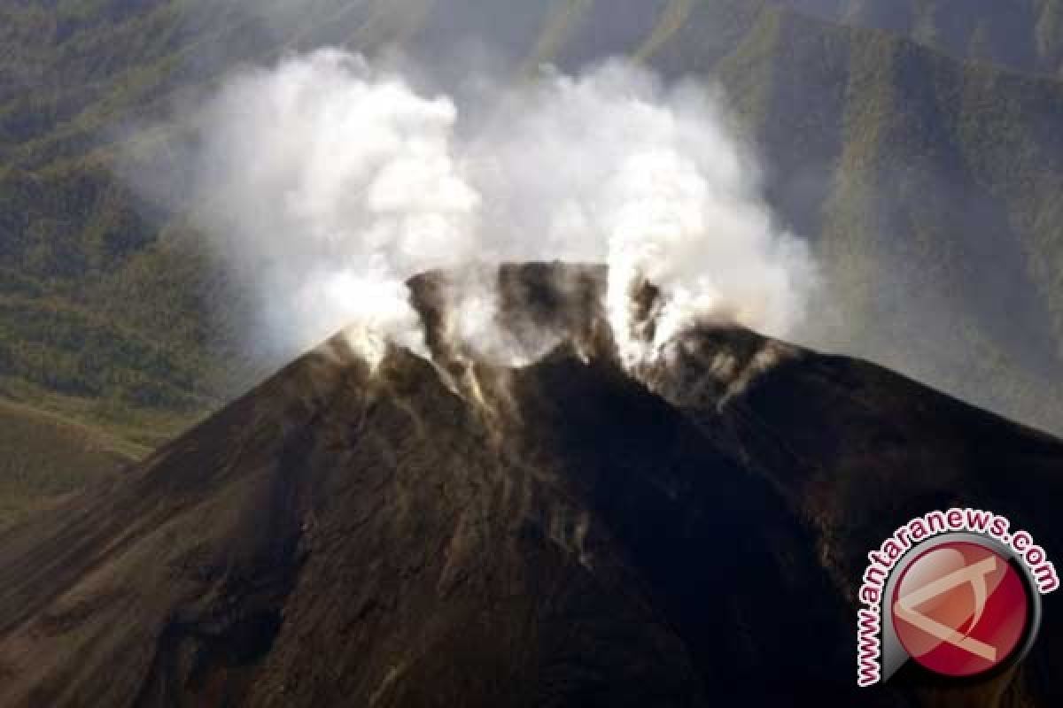 Gunung di White Island Selandia Baru meletus Senin