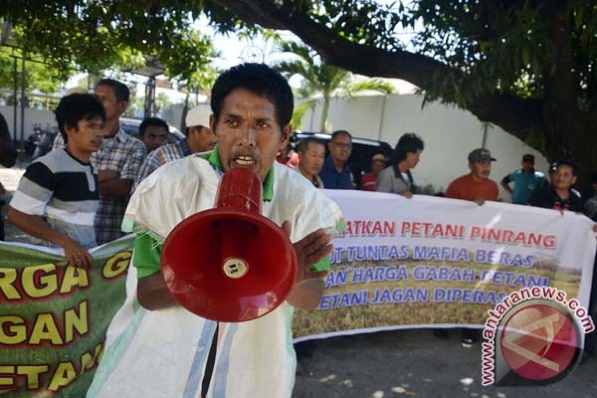 Petani Pinrang protes harga gabah turun 