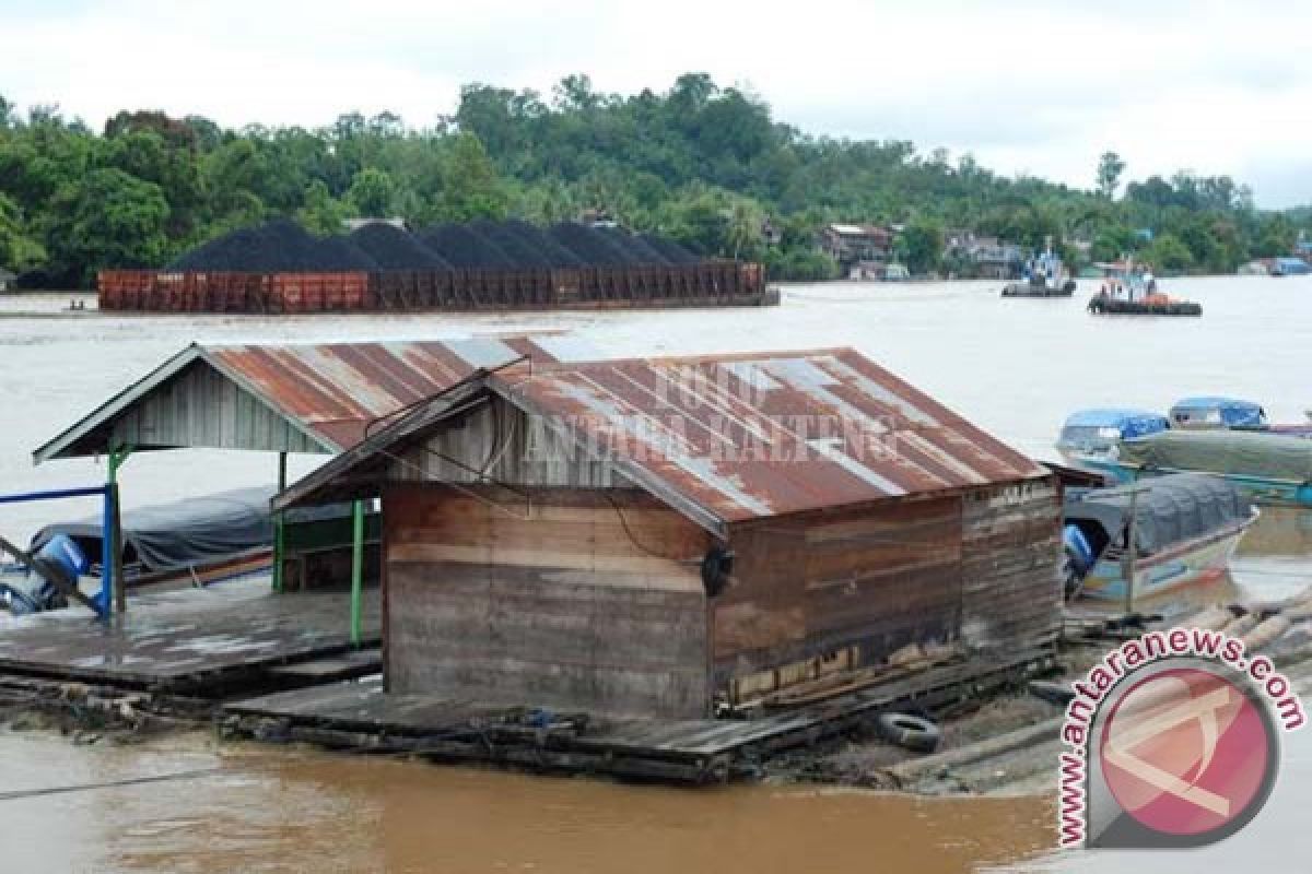 Tongkang Pengangkut Batu Bara Dilarang Berlayar, Ini Penyebabnya