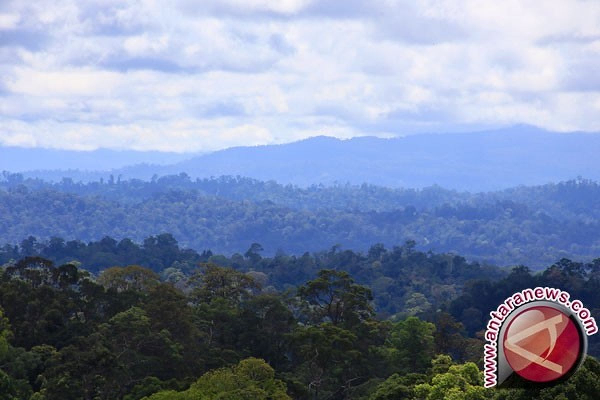 Pemkab Barut Dukung Gunung Lumut Jadi Taman Nasional