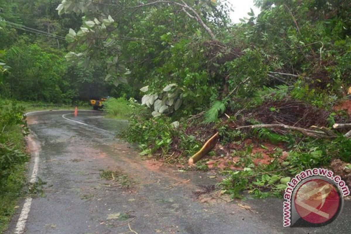 Lintas Barat Sumatera di Bengkulu tertimbun longsor