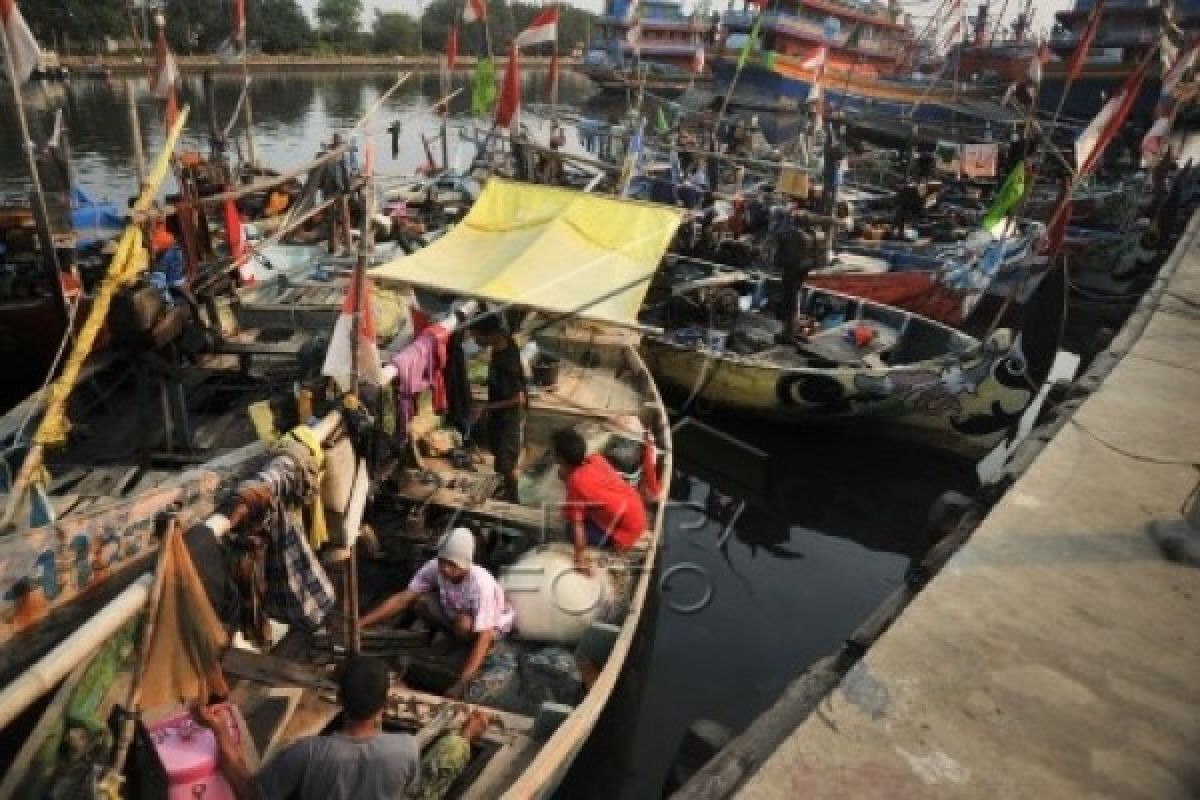 Tingkatkan Pendapatan, Nelayan Perlu Modernisasi Peralatan Tangkap