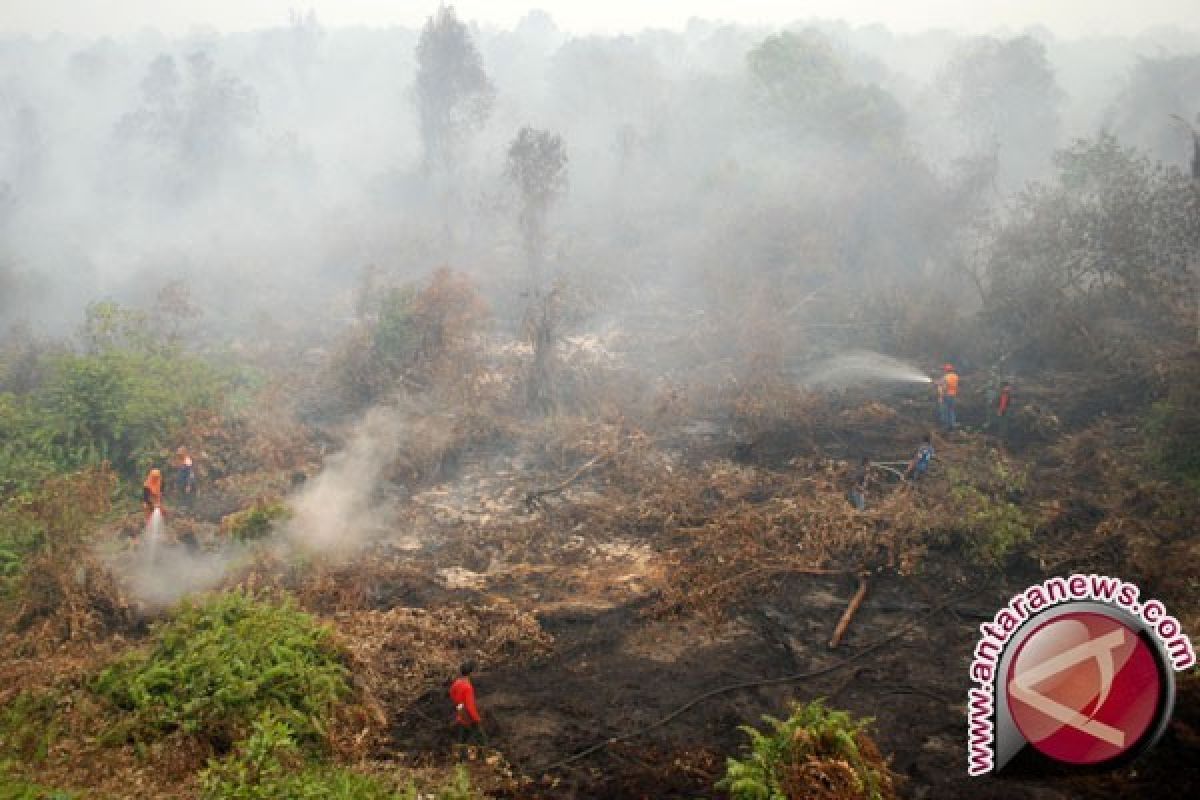 Lahan sengketa titik rawan karhutla