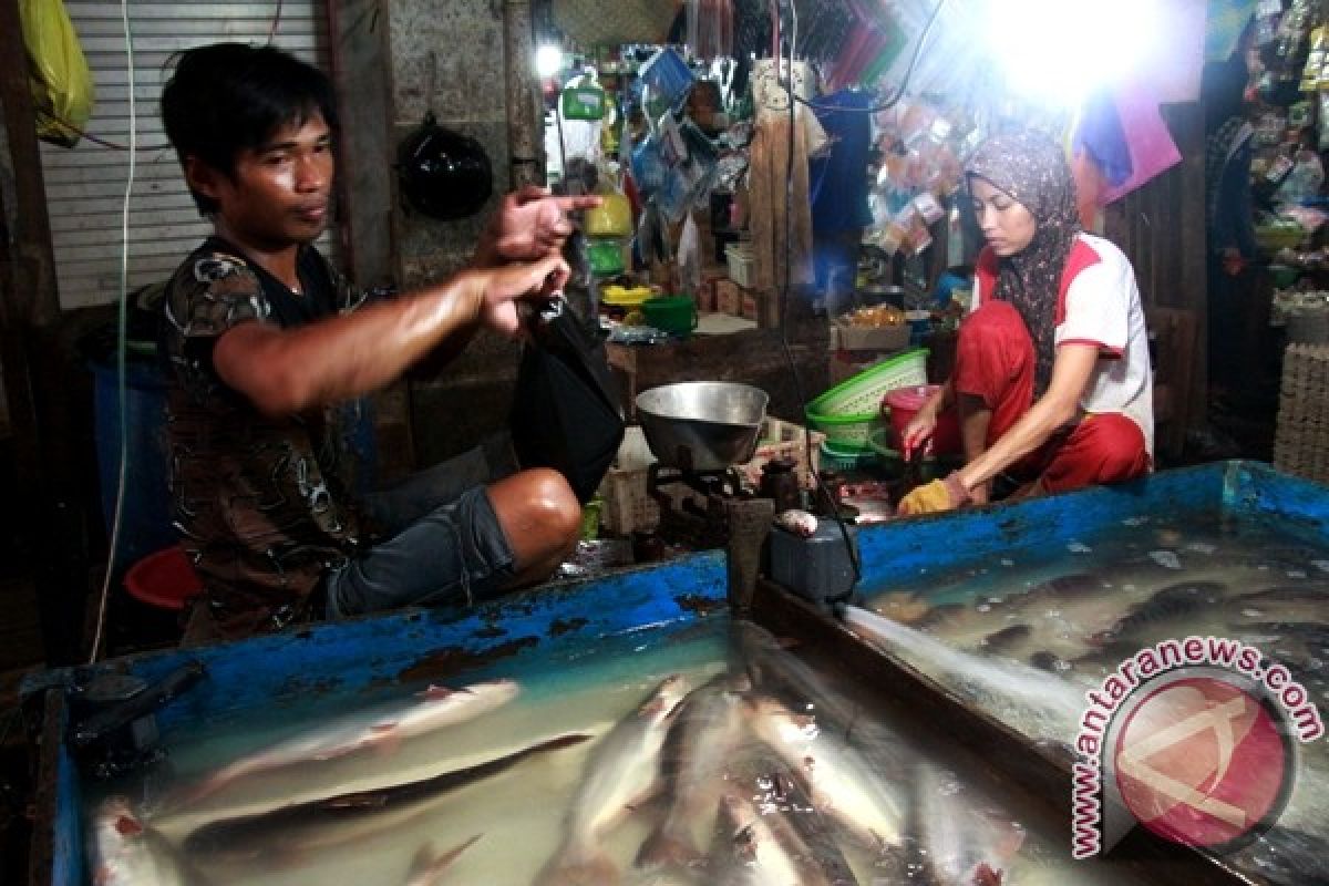Palangka Raya Dorong Diversifikasi Produk Ikan Patin