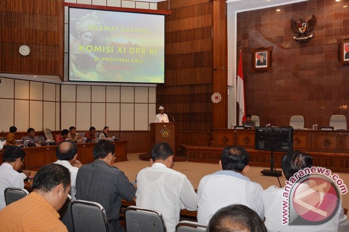 Wagub Bali Usulkan Revisi UU Dana Perimbangan