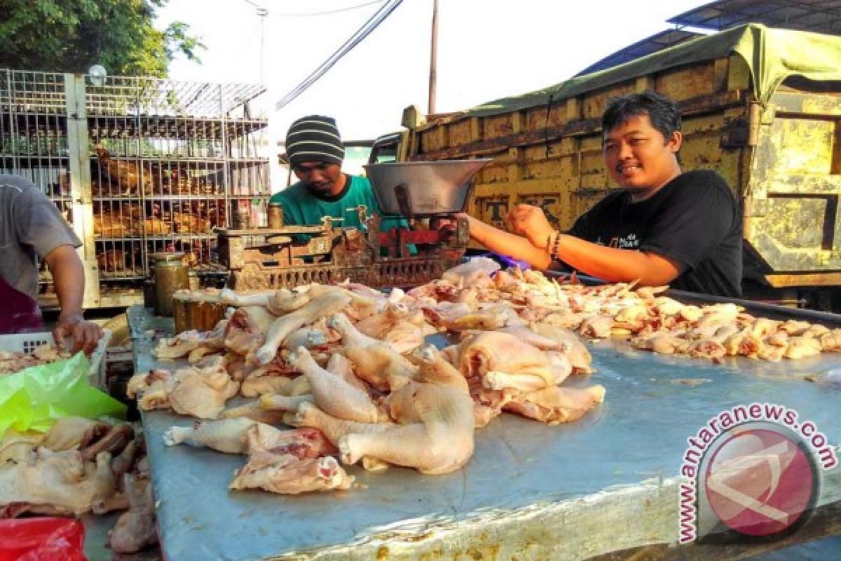 Harga Daging Ayam Potong Di Bojonegoro Turun