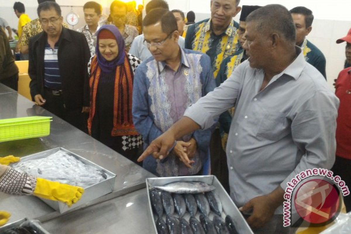 Penyimpanan ikan berpendingin Lampulo diharapkan ramah IKM