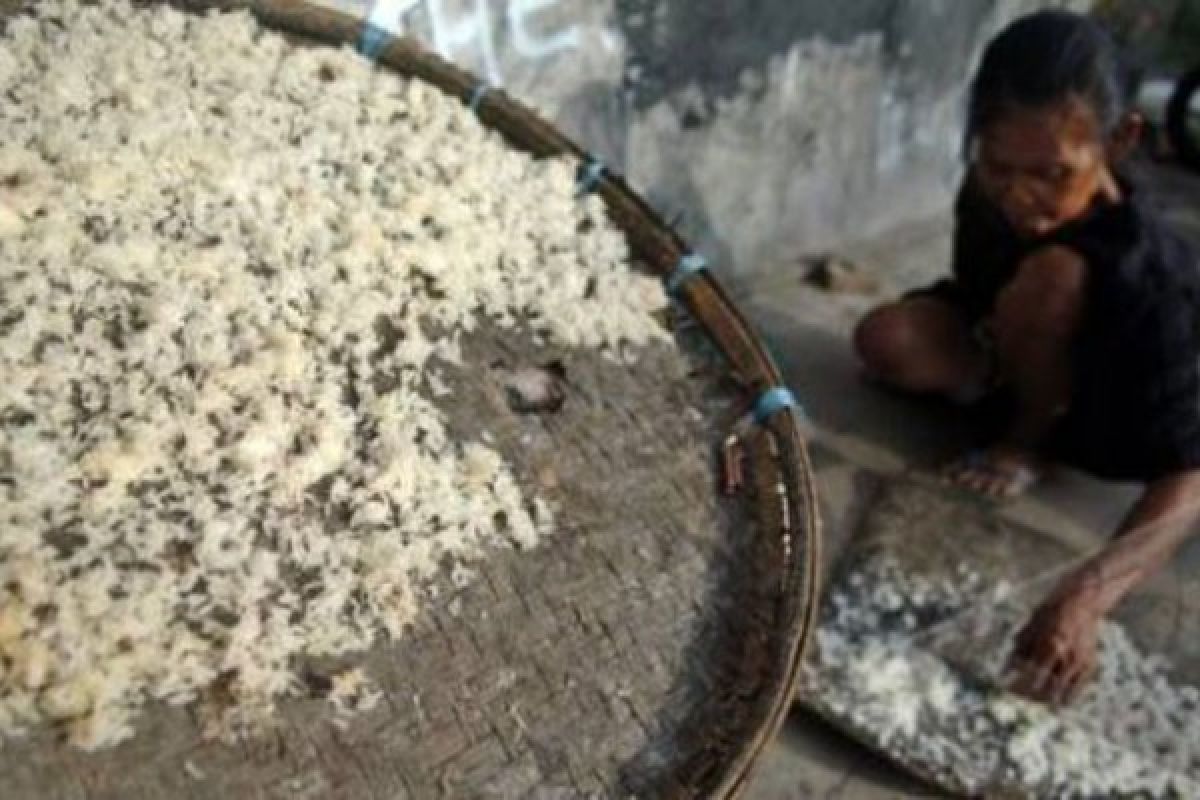 Bupati Beri Bantuan Warga Makan Nasi Aking