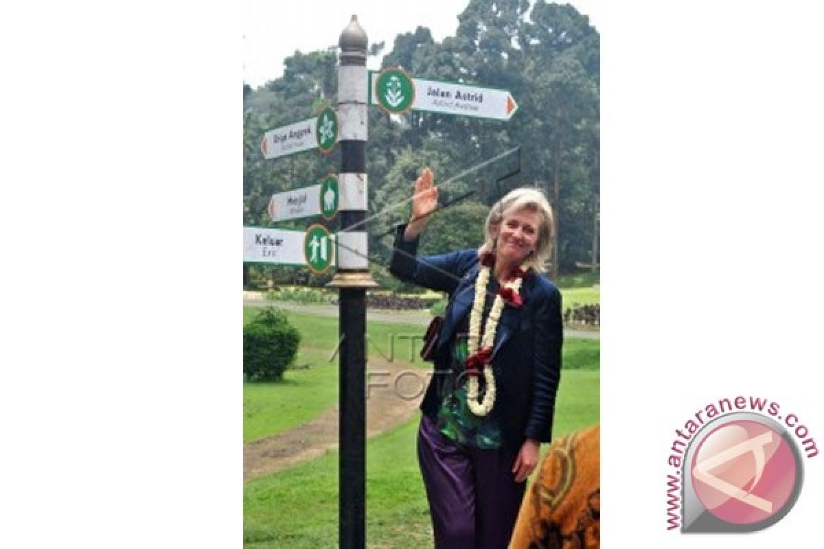 3 hari Libur panjang, 17.099 Pengunjung Padati Kebun Raya Bogor